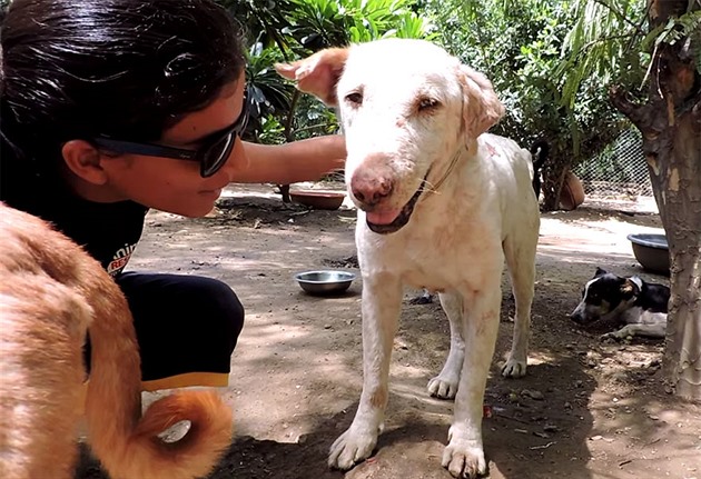 Po dvou m�s�c�ch se z�zra�n� uzdravil!