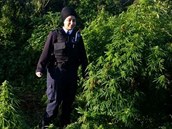 Pstitel nebude mít na rozdíl od policistky moc dvod k úsmvu. Marihuana bude...