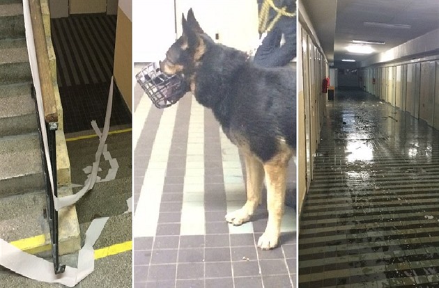 Policie vera zasahovala u studentské párty na Strahov. Více ne 200 student...