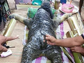 Moe v Thajsku vyvrhlo na plá pknou híku pírody.