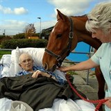 Frank Keat celý svůj život zasvětil koním. Jeho nejoblíbenější kůň se s ním dva...