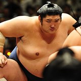 Vjimkou mezi jinak hubenmi Japonci jsou vykrmen zpasnci sumo.