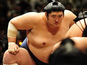 Výjimkou mezi jinak hubenými Japonci jsou vykrmení zápasníci sumo.