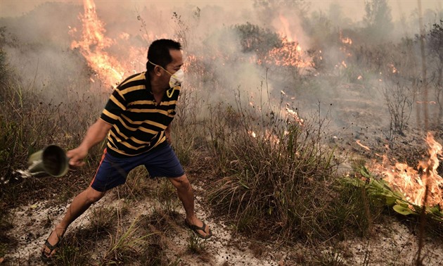 V Indonésii hoí nezkrotitelné ohn.