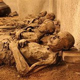 V kapucnsk krypt v Brn le 24 mumifikovanch eholnk.