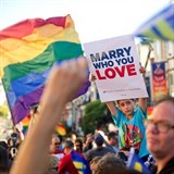 V ervnu letonho roku nejvy soud USA legalizoval satky homosexul ve...