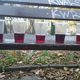 Rozdly v barv vna jsou viditeln na prvn pohled. Zleva: Red, Rucio, Cheers,...