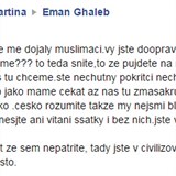 Odpornho toku na svou osobu se dostala i muslimsk dvka z Teplic, kter...