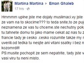 Odporného útoku na svou osobu se dostala i muslimská dívka z Teplic, která...