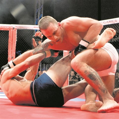 MMA je boj v osmihrann kleci.