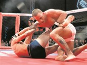 MMA je boj v osmihranné kleci.