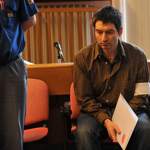 Robert Novk dostal na vradu manelky 13 let.