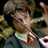 Radcliffa role Harryho Pottera proslavila.