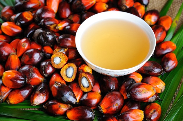 Palmový olej je aktuáln hodn propírané téma. Dá se ho njak zbavit?