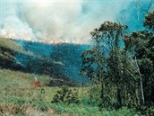 Nejvtí problém s vypalováním prales je momentáln v Indonésii.