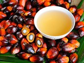 Palmový olej je aktuáln hodn propírané téma. Dá se ho njak zbavit?