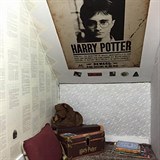 Knihy a plakt s Potterem nemou chybt.