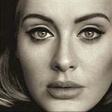 Nejkupovanjm hudebnm drkem bylo nov album od Adele.