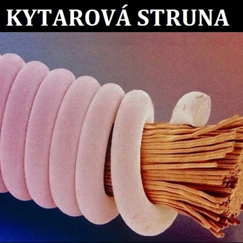 Kytarov struna.