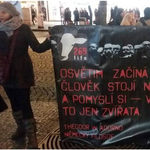 Na And�lu chr�nili dnes odpoledne kap�� �ivoty.