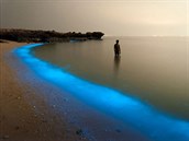 Fosforeskující jezero v Íránu.