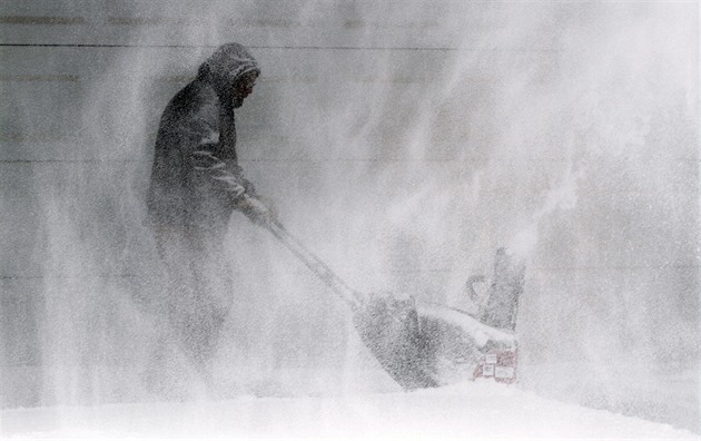 Pes esko se konce ledna peena zimní boue z ruské Sibie.