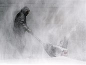 Pes esko se konce ledna peena zimní boue z ruské Sibie.
