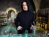 Celosvtový vhlas získal jako profesor Snape z Harryho Pottera.