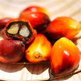 Palmov olej obsahuje velk mnostv prodnch karoten a nasycench mastnch...