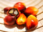 Palmový olej obsahuje velké mnoství pírodních karoten a nasycených mastných...