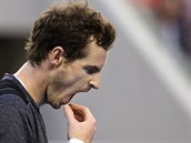 Britský tenista Andy Murray je zetm trenéra Ivanoviové, který v sobotu...