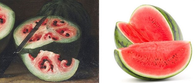 Vodní meloun ped 350 lety a dnes