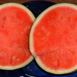 Vodní meloun, kterým se v létě vesele krmíme.
