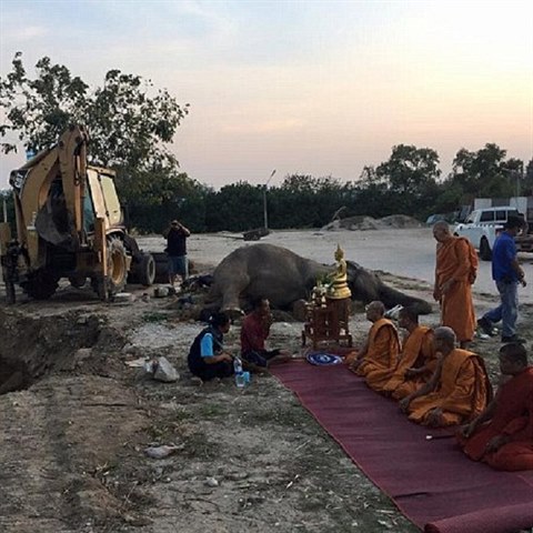 Pohbu slonice se zastnili i buddhistit mnii.