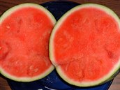 Vodní meloun, kterým se v lét vesele krmíme.