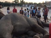 Se slonicí se pily rozlouit hlavn dti, které jí milovaly.