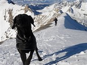 Pes enda zahynul se svým páníkem v Alpách.