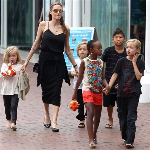 Angelina Jolie je rodinn typ. Adoptovala celkem 3 dti, 2 sama porodila.