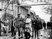 Vyhlazovací tábor byl osvobozen v lednu 1945.