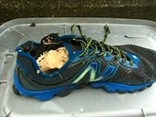 Poslední nalezená noha v becké bot z pláe na ostrov Vancouver.