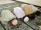 Setkání s modlícími se muslimy senátora Velebu natolik zaskoilo, e celou...