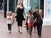 Angelina Jolie je rodinný typ. Adoptovala celkem 3 dti, 2 sama porodila.