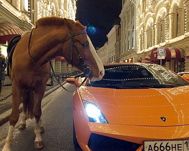 Koně pod kapotou, koně vedle auta. Prostě Rusko se vším všudy