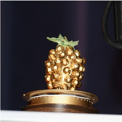 Je Jada Pinkett Smith adeptkou na dal�� ro�n�k Zlat� maliny?