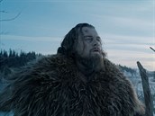 Leonardo DiCaprio, nejsledovanjí nominovaný, ve filmu The Revenant:...