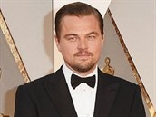 A je to doma! Leonardo DiCaprio získal prvního Oscara.