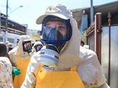 Epidemie viru zika se íí z Brazílie a thotným enám Svtová zdravotnická...