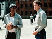 Film Vykoupení z vznice Shawshank byl natoen podle novely Stephena Kinga.