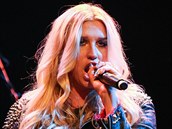 Kesha obvinila Dr. Luka ze sexuálního zneuívání v listopadu 2014. Spor vyústil...