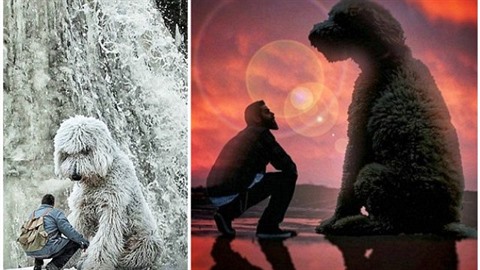 Tyhle fotky mu�e a jeho psího kámo�e vyvolávají mnoho otázek...